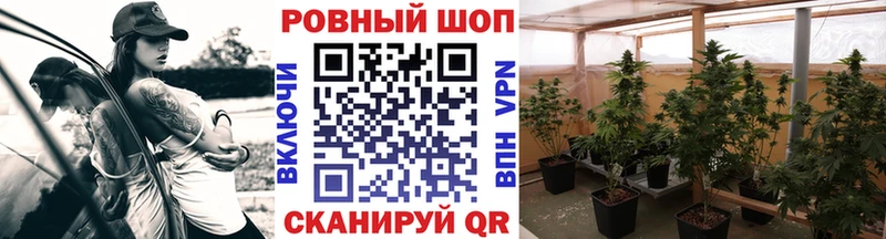 Наркошоп купить Галлюциногенные грибы  Мефедрон  Дрезна
